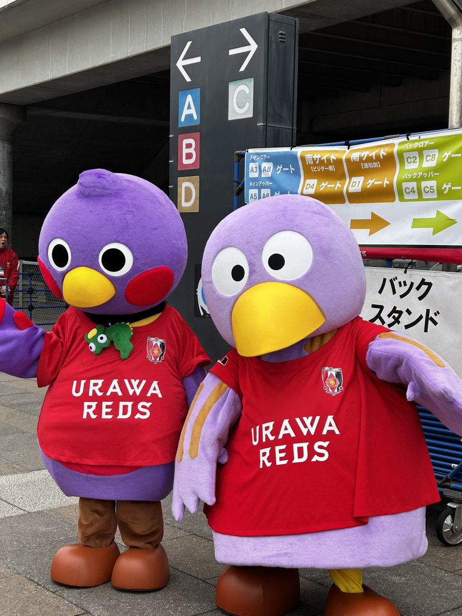 🍀ふんわり(ふうさん)🦫🥐🍔🥯☕️ tweet media