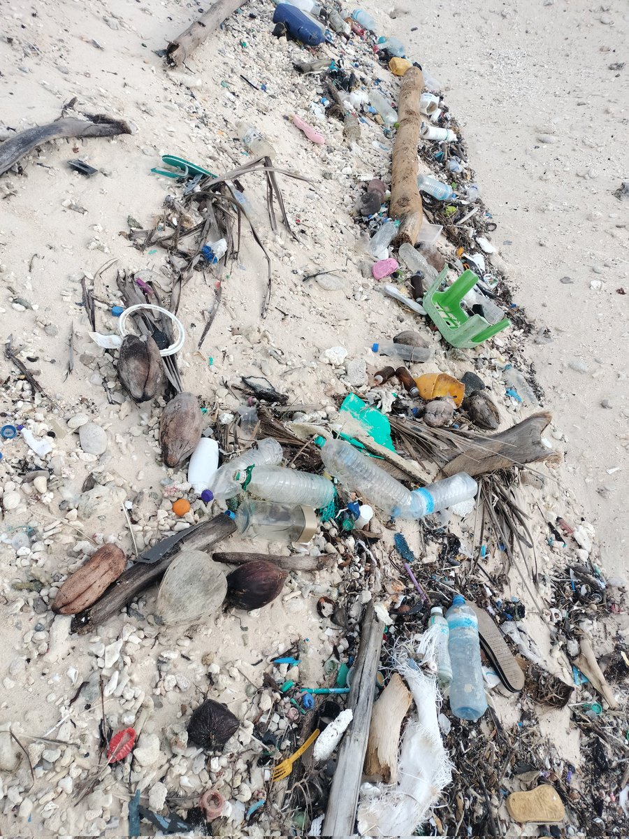 veshisaafu's tweet photo. It warmed our hearts to see an elderly woman, who had been swimming, step in to help us clean the beach. What we found was plastic buried long ago, left behind when the reef palate was removed.  #veshisaafu #AdduCity #keepclean https://t.co/x4xdmGePtK