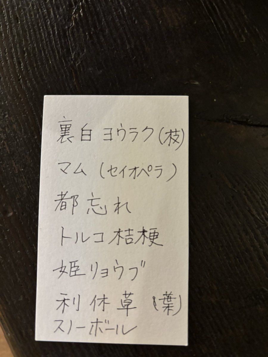 shin tweet media