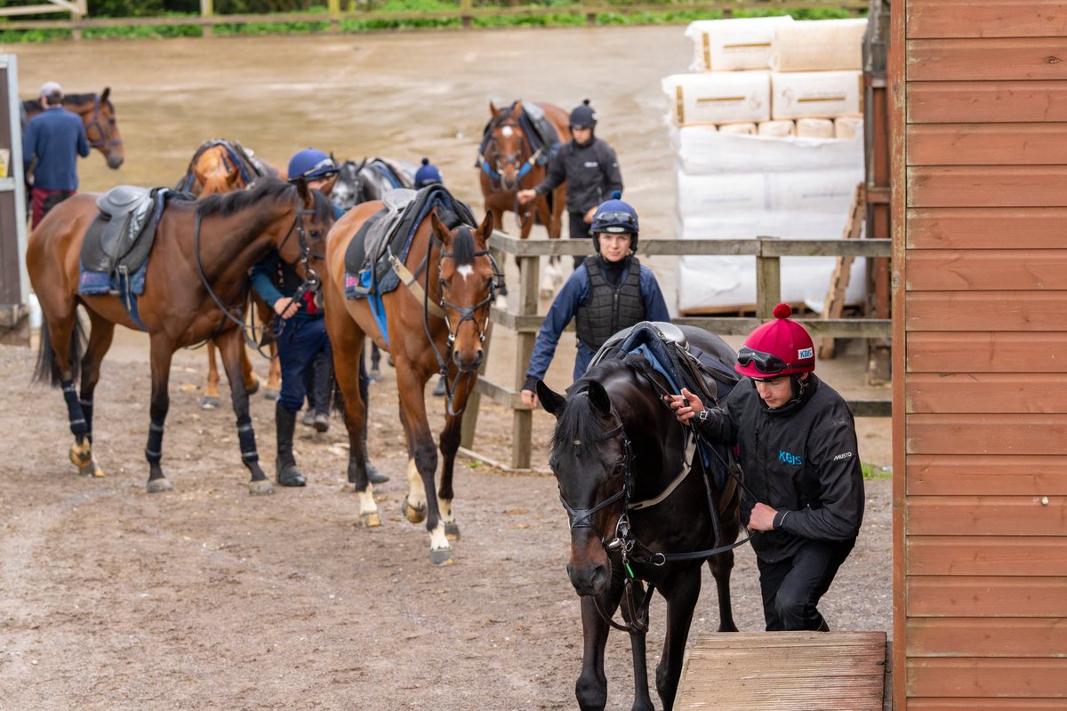 Fergal O'Brien Racing tweet media
