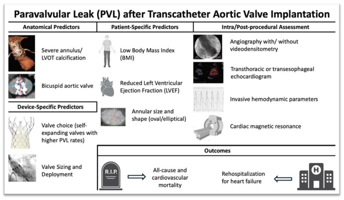 Cardiovasc_MDPI's tweet image. How does paravalvular leak impact clinical outcomes after transcatheter aortic valve implantation, and what strategies can address existing challenges?

Explore this topic in this #review published in JCDD 

👉Full paper: brnw.ch/21x21D7

✒️by Andreas Synetos et al.