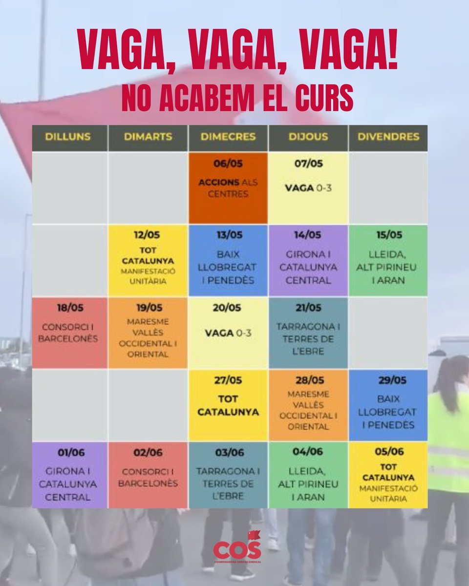 COS Educació tweet media