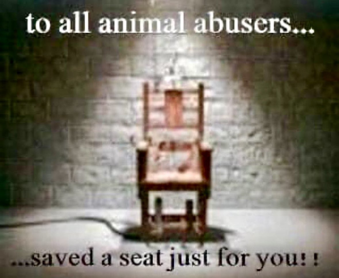 Barbara Small tweet media