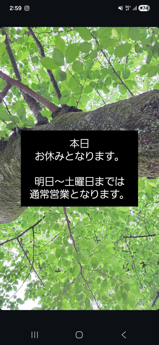 スゴロク (@s56sugoroku) on Twitter photo 