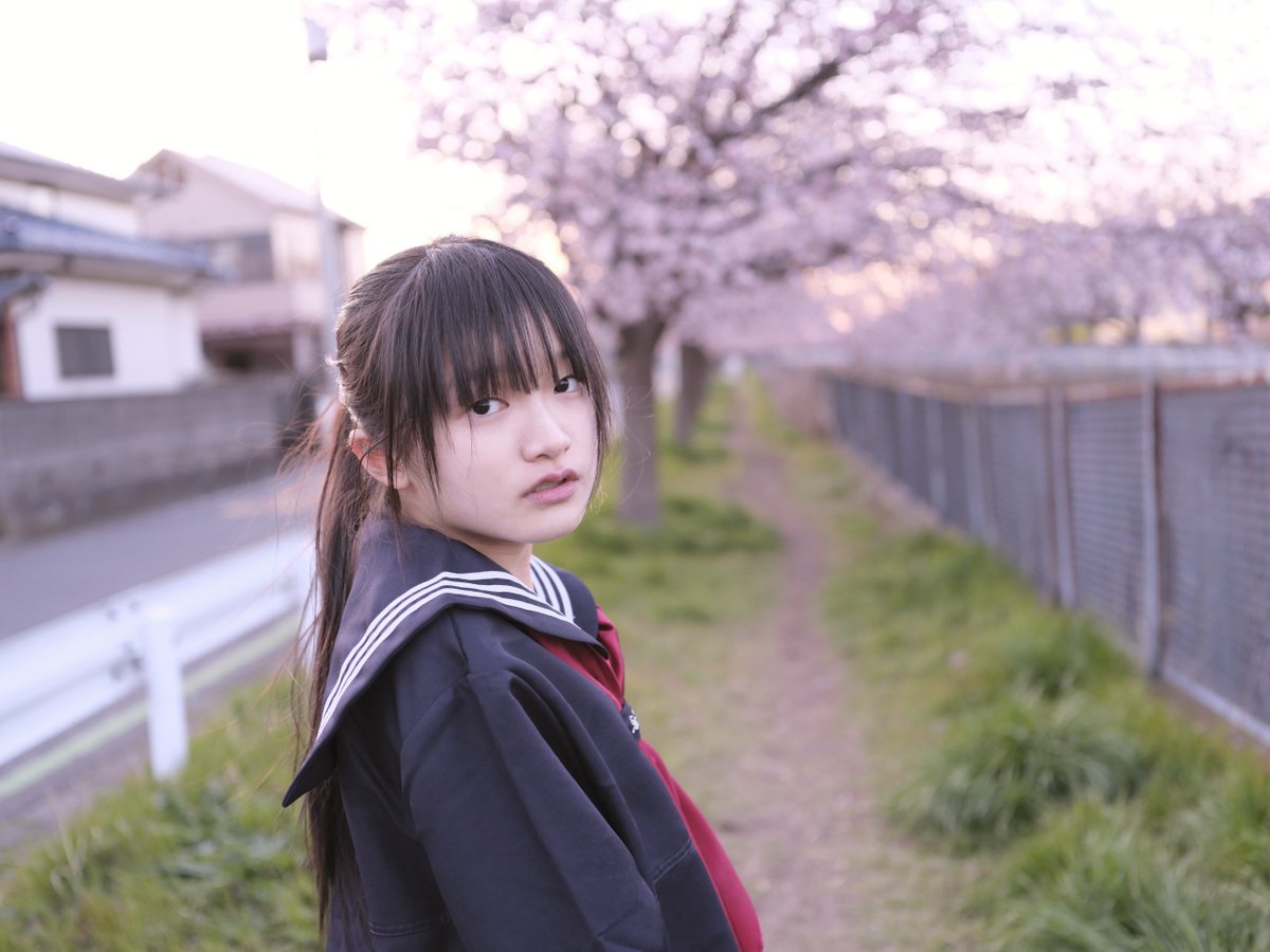 kengo2828warai's tweet image. #天使ほまれ
#桜
#セーラー服
@amahoma65sweet

2024.3.10