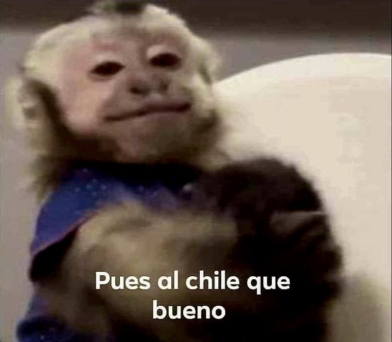 El Piter tweet media