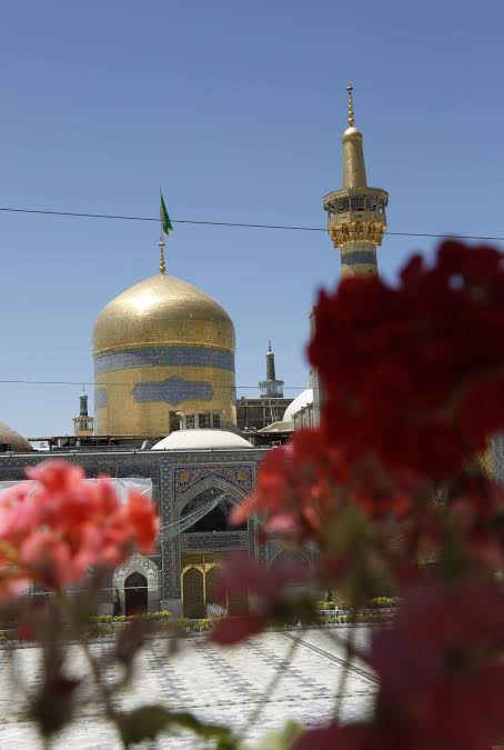 s.fatemeh1378 tweet media