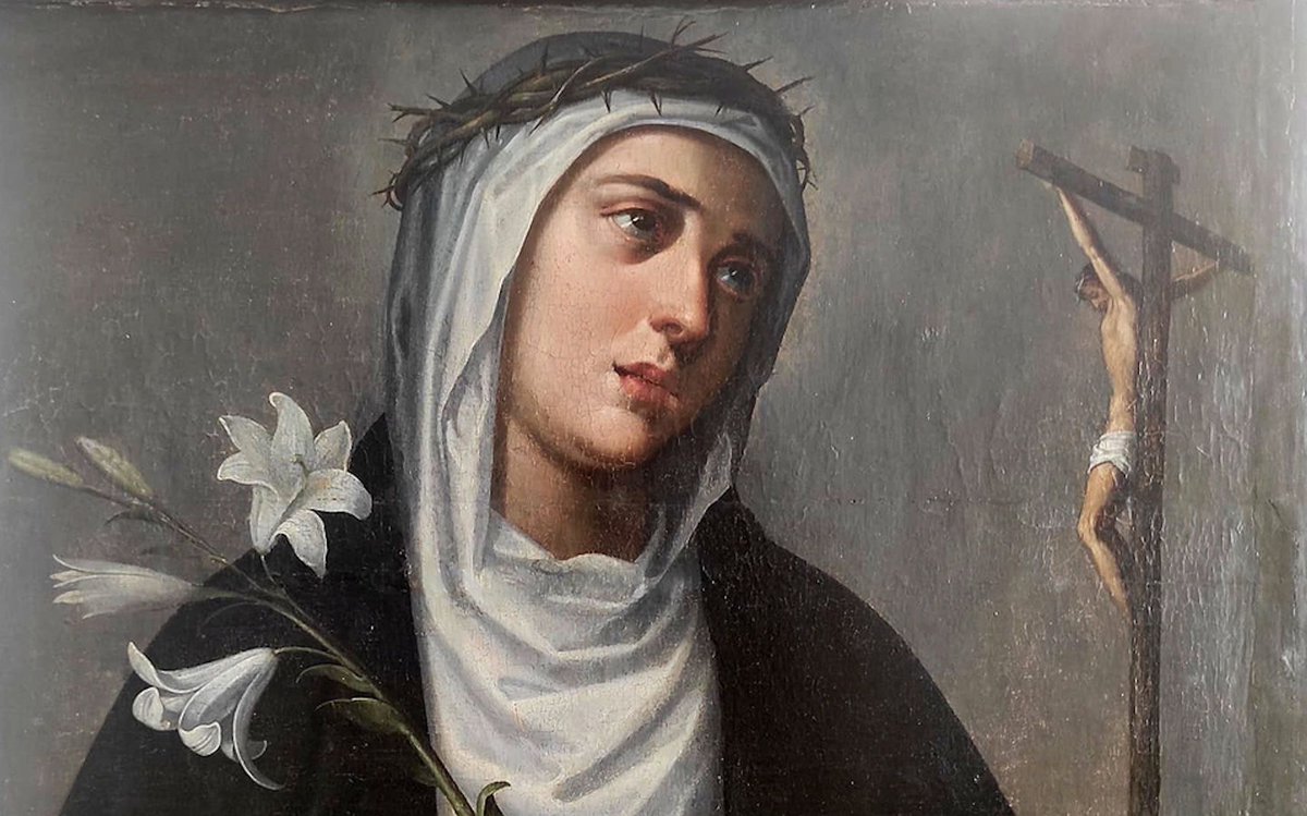 ofmfranciscanos tweet media