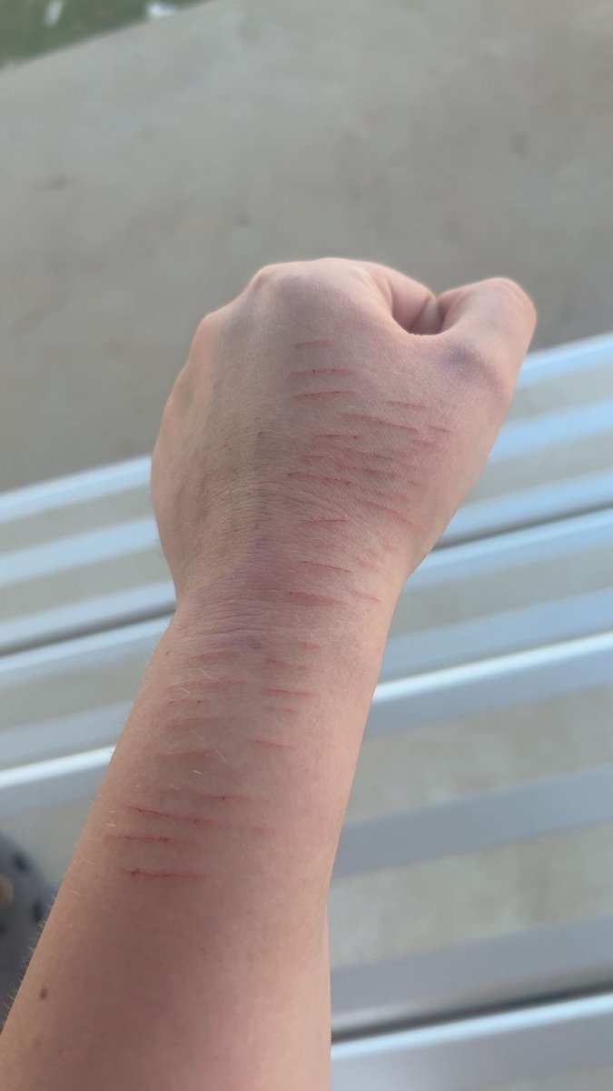 pip★☆ tweet media