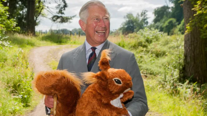 SquirrelAccord's tweet photo. Thanks @thetimes for reporting on King Charles' support for #redsquirrel #conservation & our important work to fund & deliver a #fertilitycontrol to reduce grey squirrel numbers. He also praised the wonderful work of #volunteers across the UK. #wildlife
https://t.co/l7Wgo70zlL https://t.co/rai5etQp5G