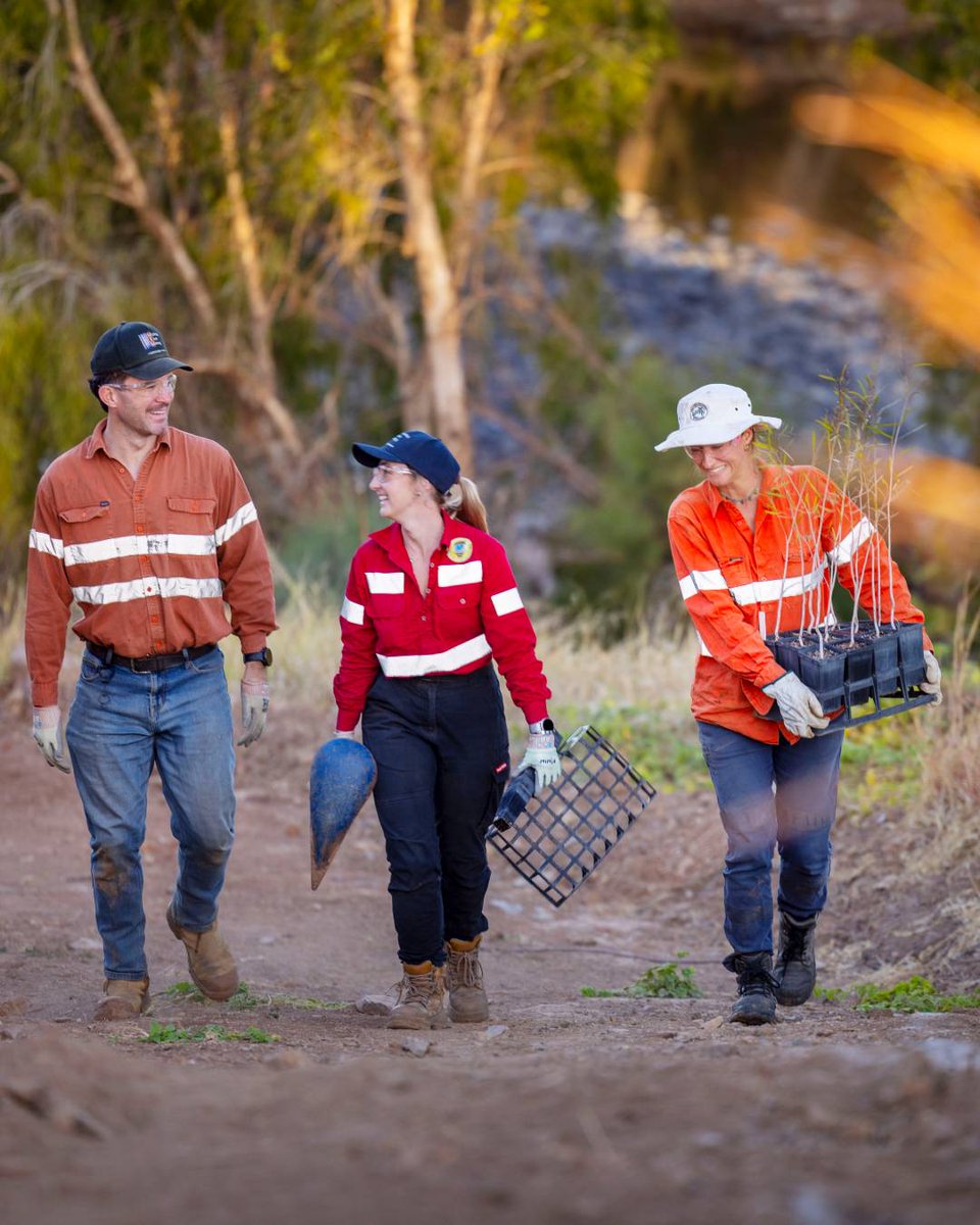 GlencoreAus's tweet photo. Progress you can see. The McArthur River Mine Environmental team has planted more than 1 million native trees, shrubs and grasses on the banks of the McArthur River diversion channel since 2018.

#NT #Mining #MRM #AUS #AU https://t.co/Ybn8P8pOVO