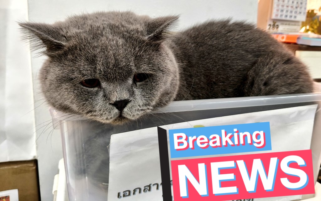 P'Maii®มนอ_กรณ์นภัส tweet media