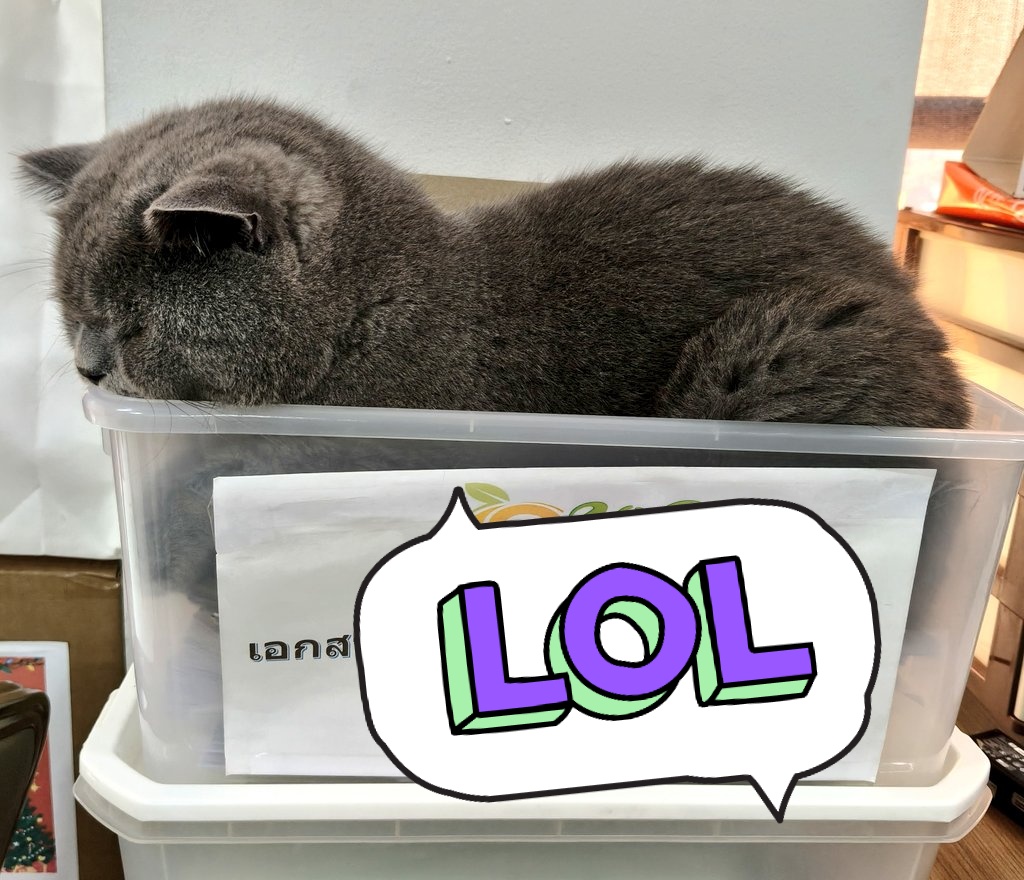 P'Maii®มนอ_กรณ์นภัส tweet media