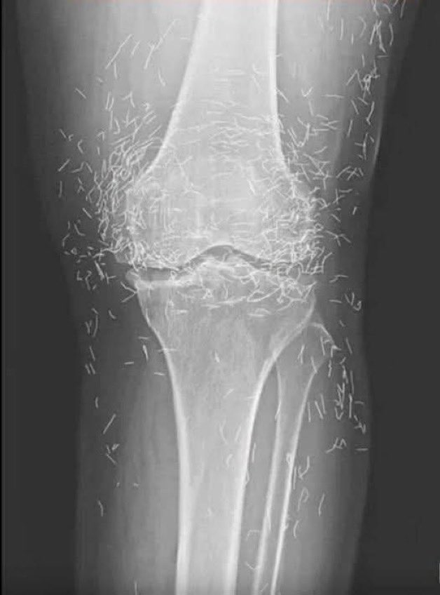 Blossom 🌸 tweet media