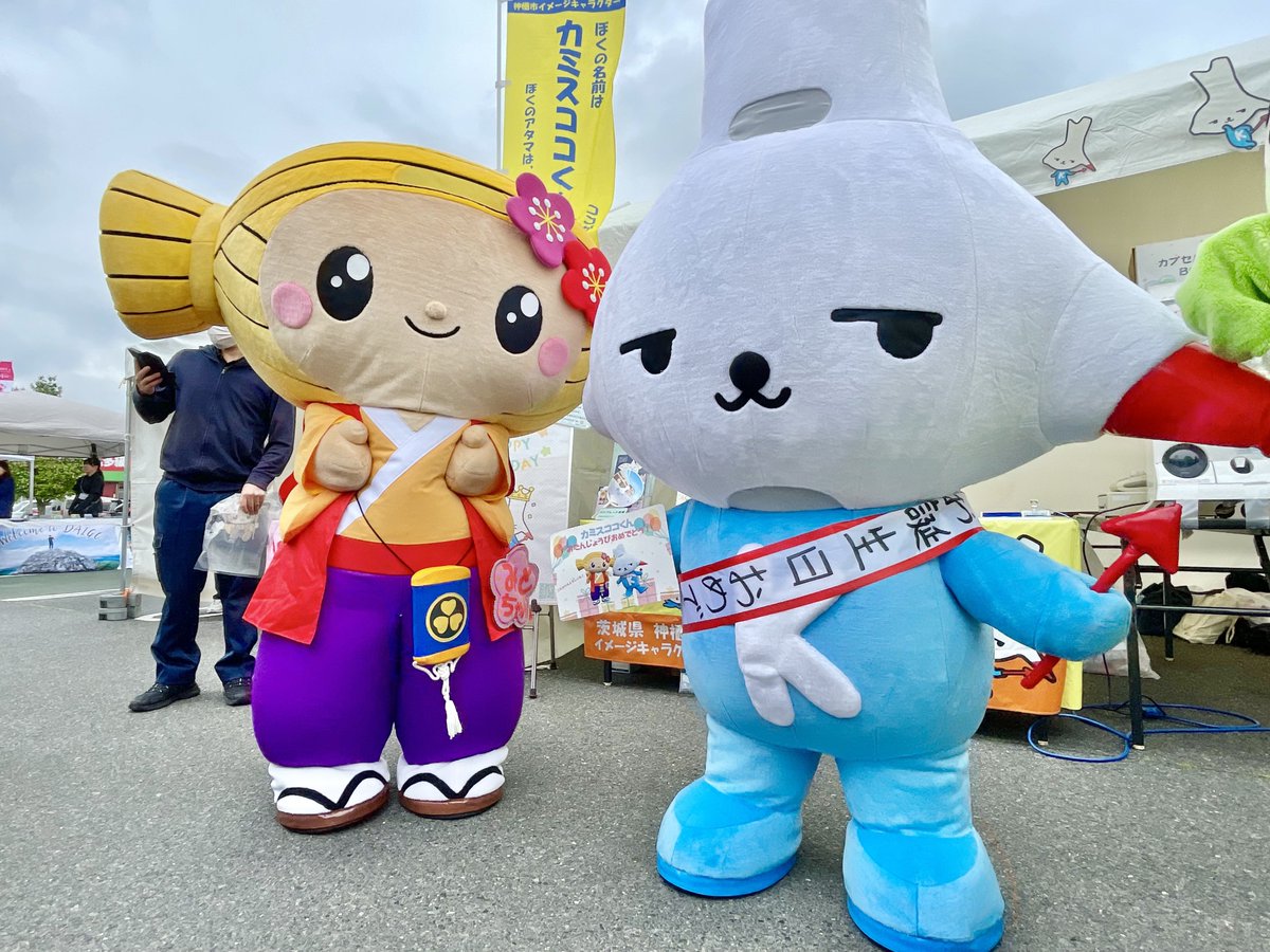 カミスココくん tweet media