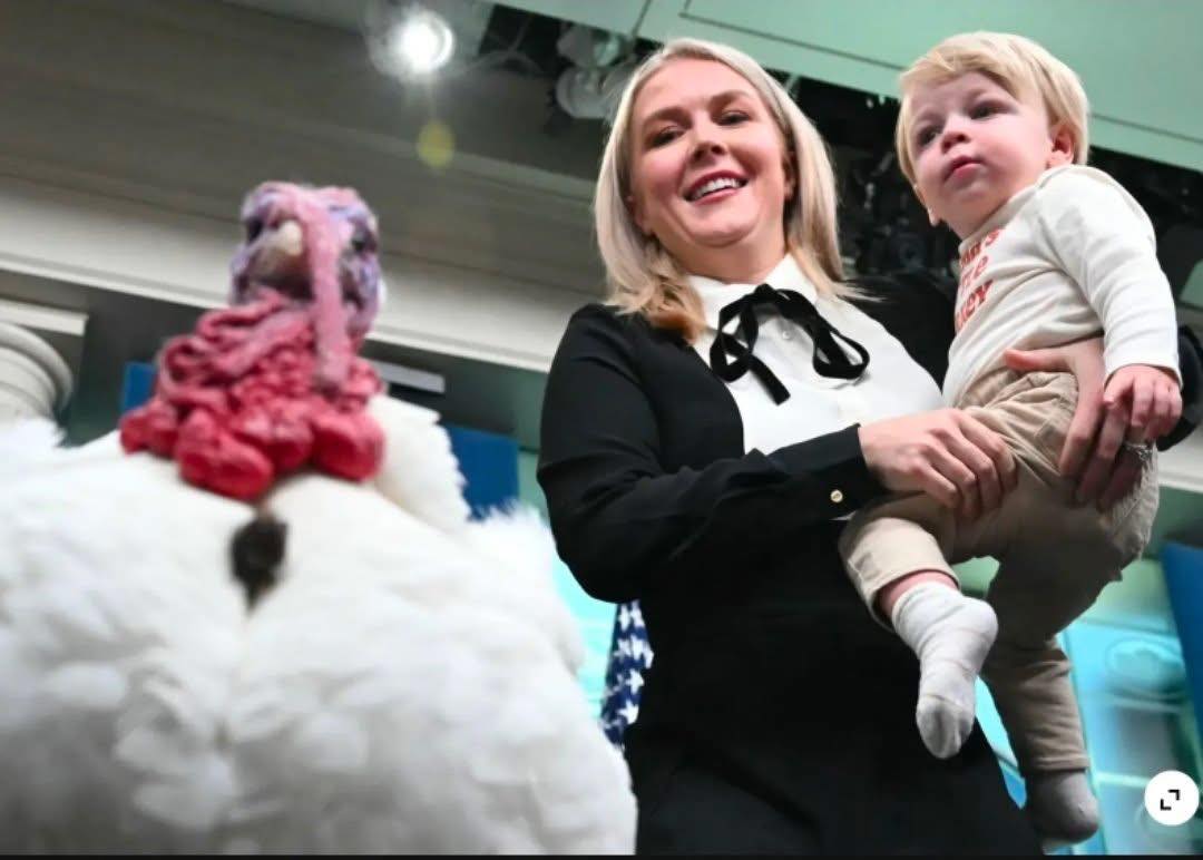 ReginaldFawknoodle tweet media