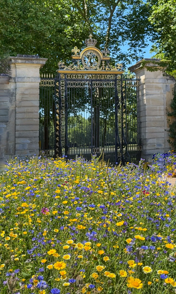lifefrance's tweet image. Daily #photooftheday from #France snapshot of Versailles in spring 😍
📷 Palace gardens, antiques district &amp;amp; palace decor themed metro train from centre of Paris to Versailles!