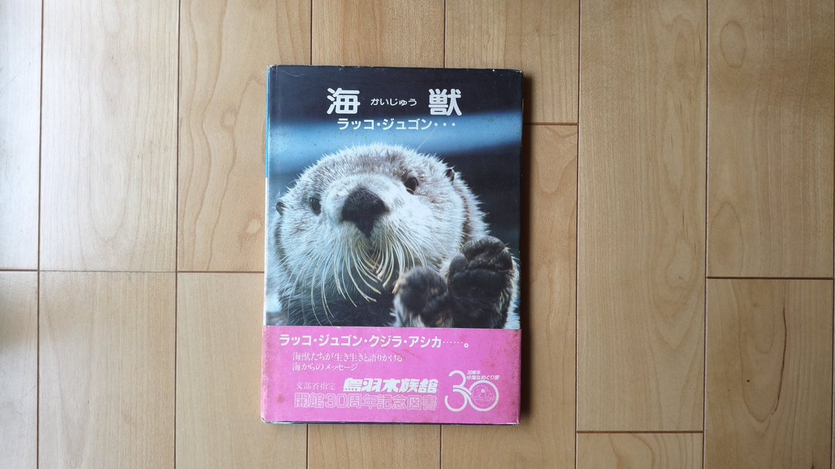 knkmch's tweet photo. 古本市で夫が買ってきてくれた🦦⸒⸒

#ラッコ
#ジュゴン
#海獣
#鳥羽水族館 https://t.co/l8gLiyEp9f