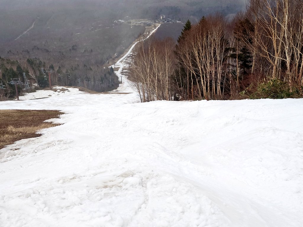 手抜き 42日目 tweet media