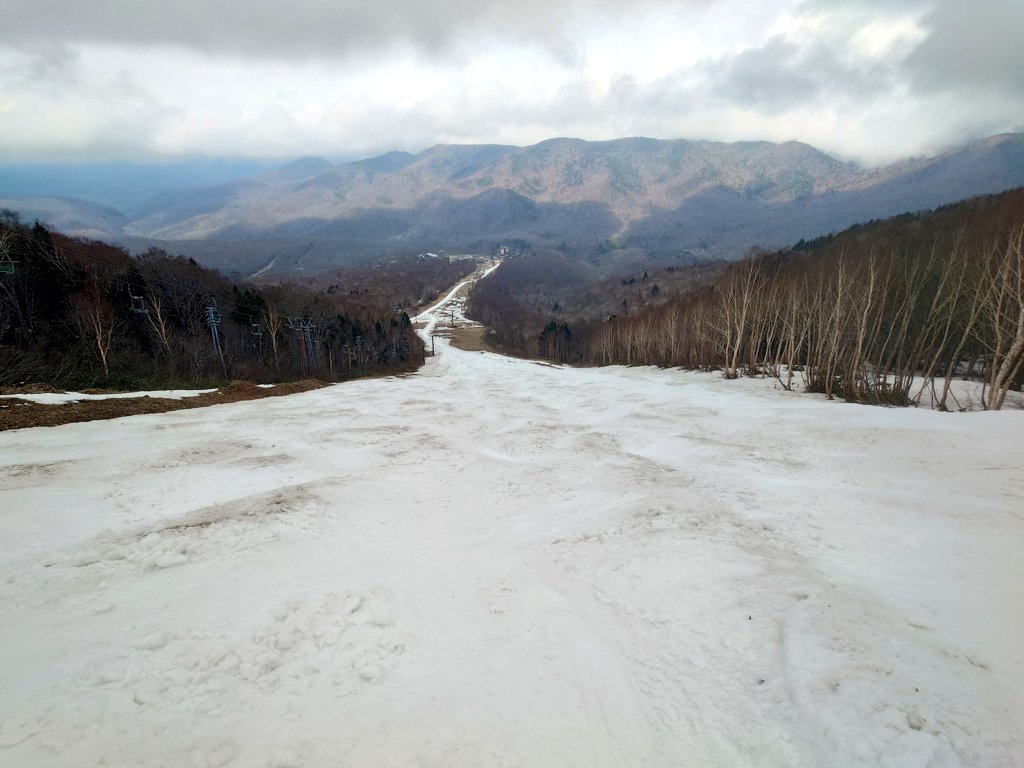 手抜き 42日目 tweet media