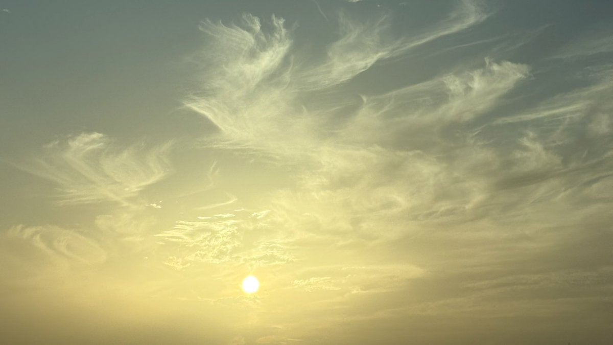 جـنى tweet media