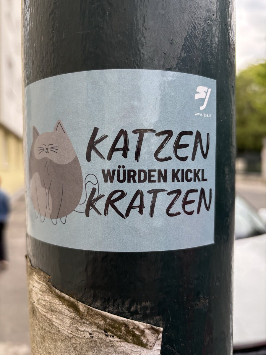 Solymi tweet media
