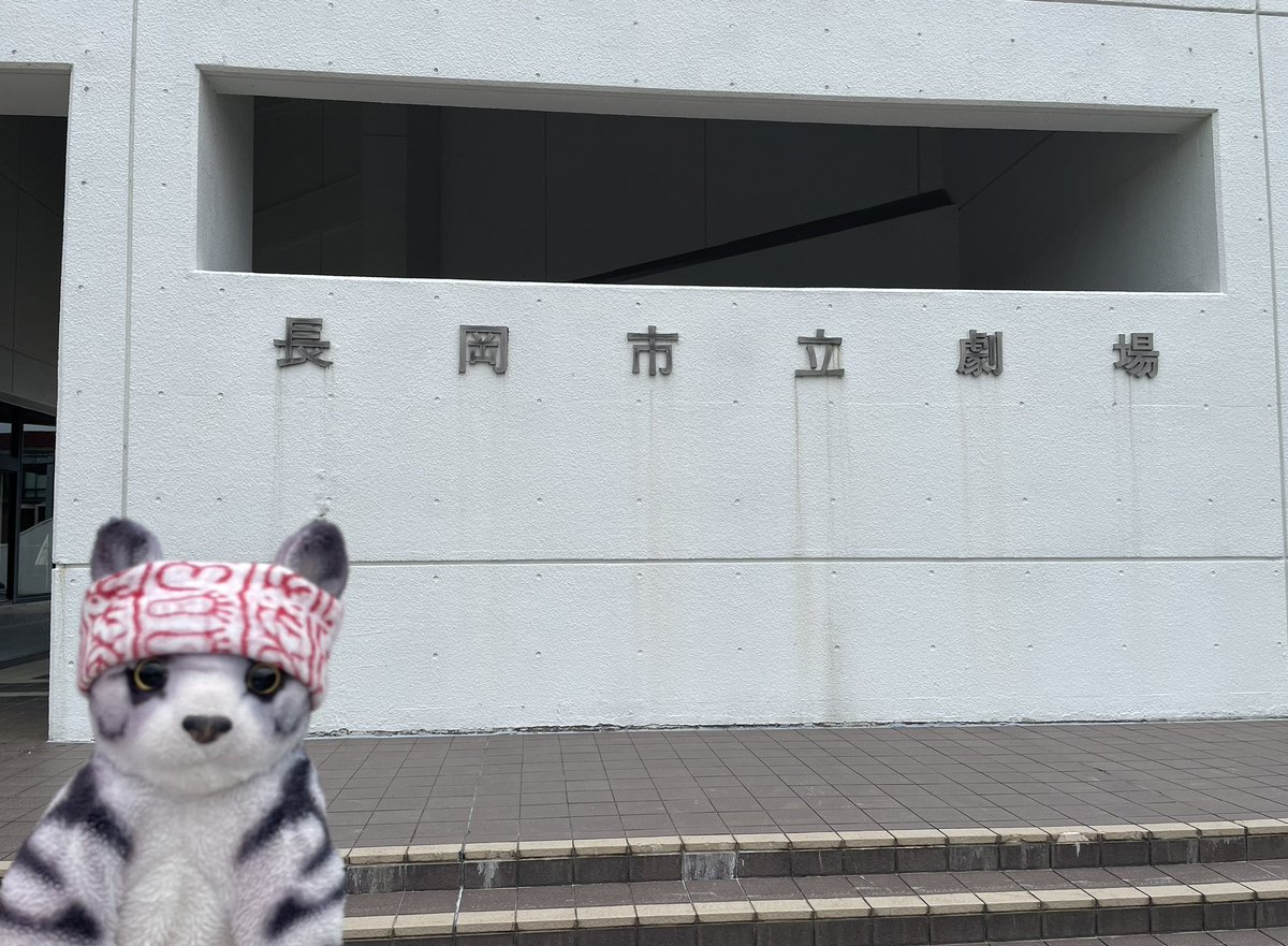 どぬさん🌞(ニャーシー) tweet media
