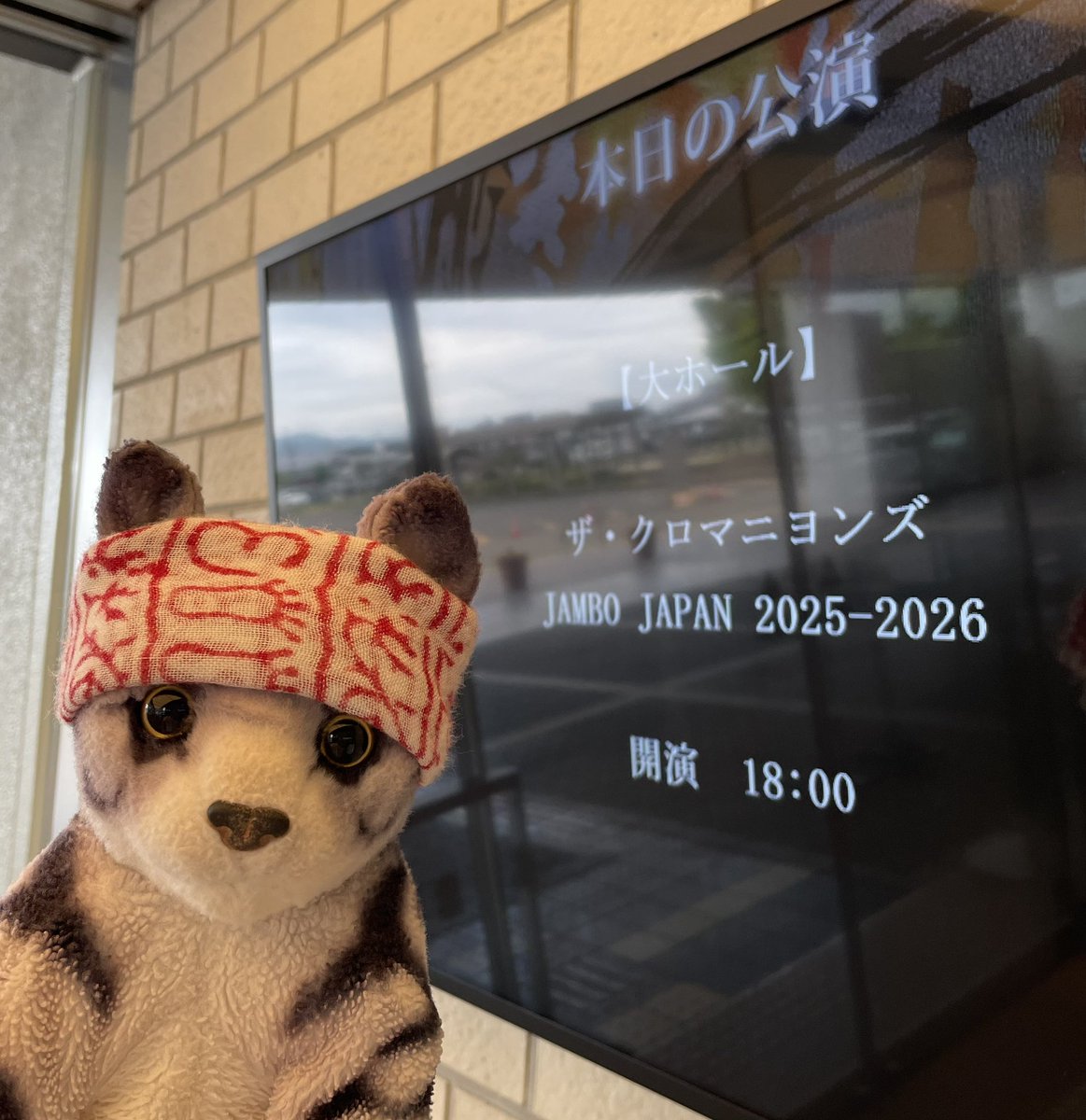 どぬさん🌞(ニャーシー) tweet media