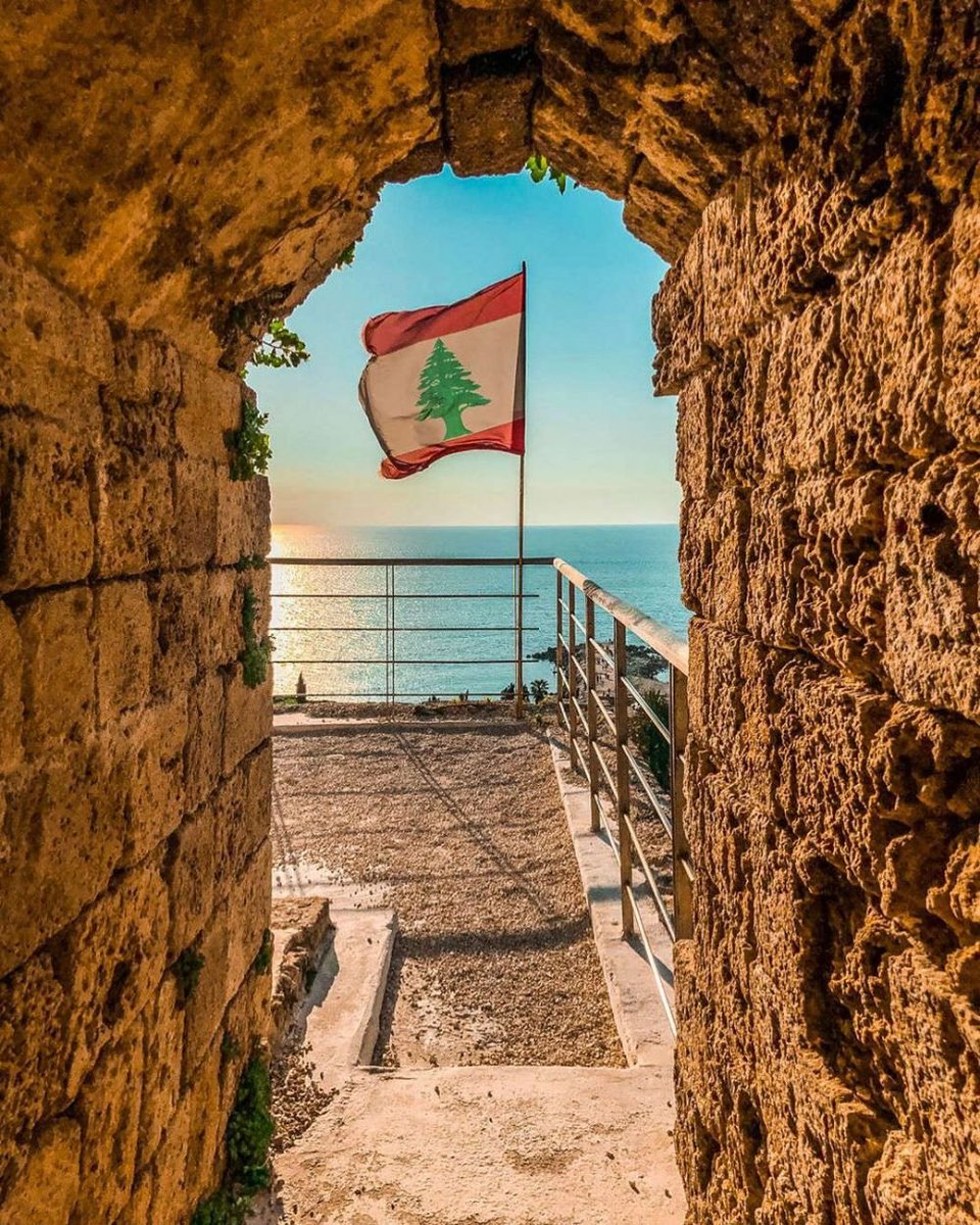 سجي طليع tweet media