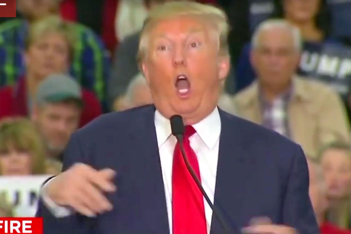 ReginaldFawknoodle tweet media