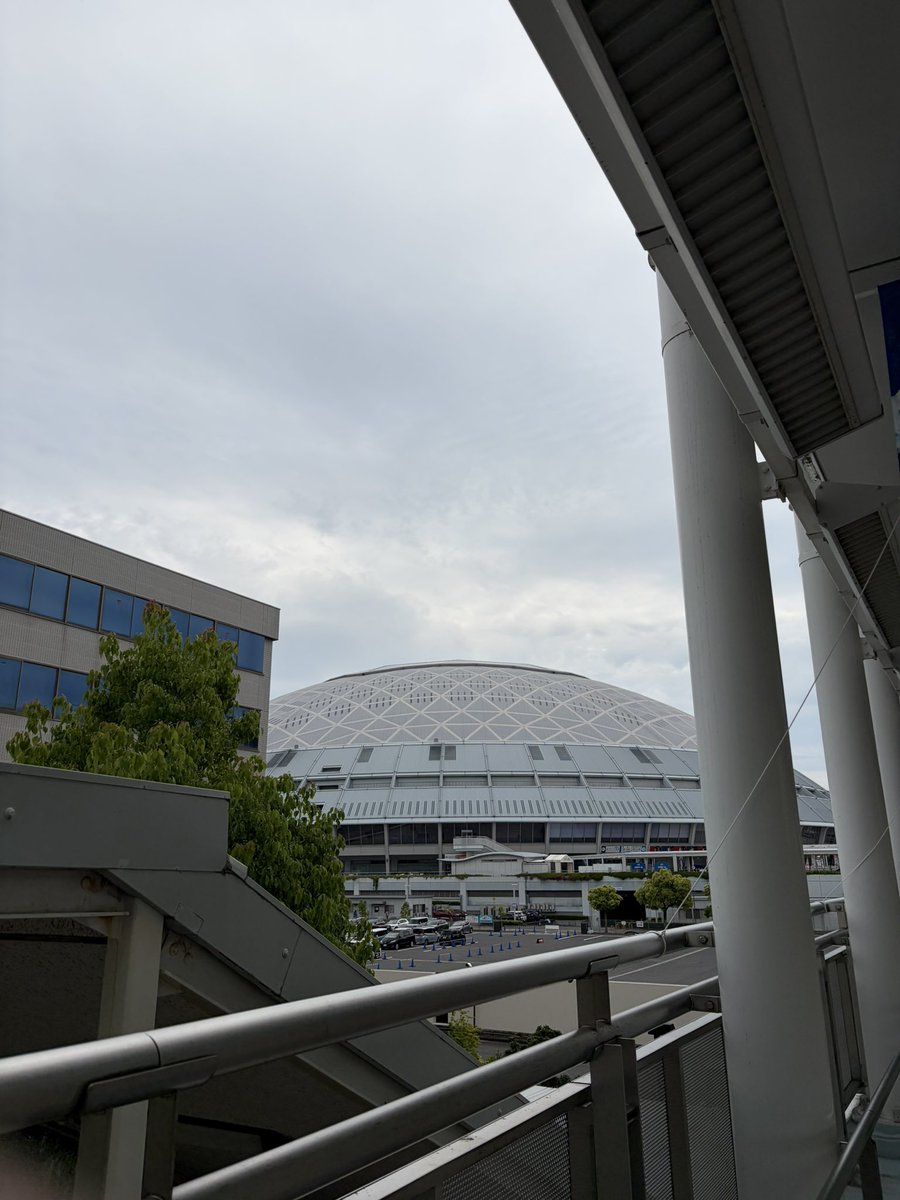 TKGuser's tweet photo. バンテリンドームナゴヤよろしくお願いします https://t.co/Tux6HKBlYd