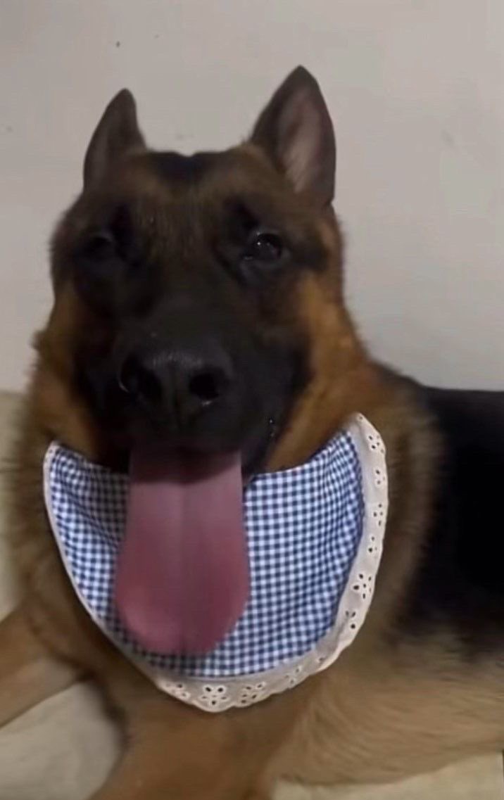 chudstrife's tweet image. #working #on #it