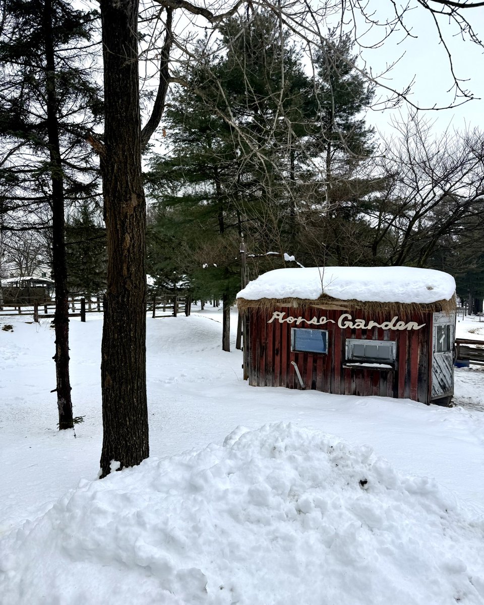 Japanguide_N's tweet photo. I’ll be your private local guide in Japan🇯🇵

　　　　　　↓
https://t.co/TrCHPCmXhS https://t.co/qhJ6QHZw8o