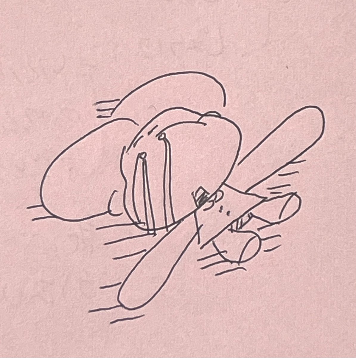 ジェンヌ ┊͙ 17期海外コミュニティサポ隊🪄✈️ tweet media