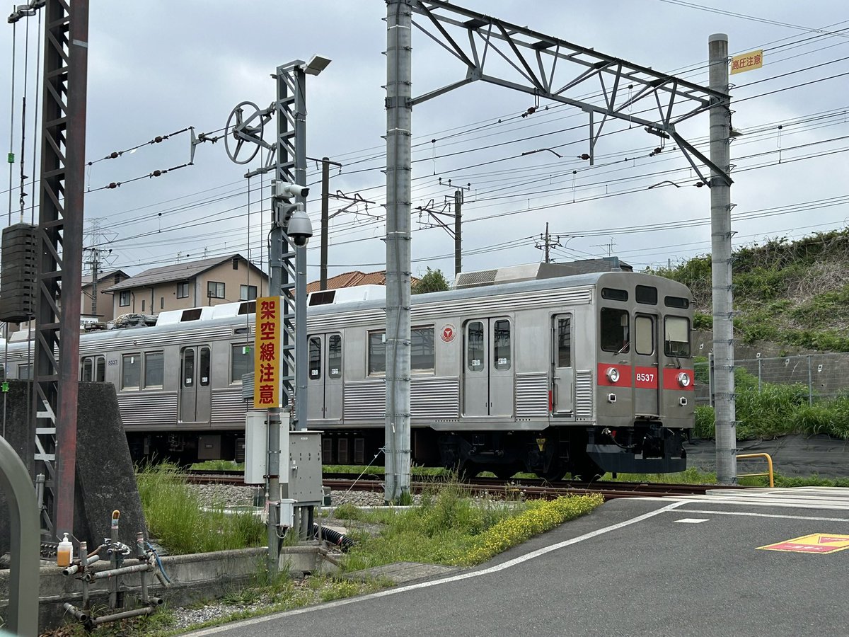 M50Fe's tweet photo. 走ってきたら、いた。ラッキー！ https://t.co/RX1nq26yyr