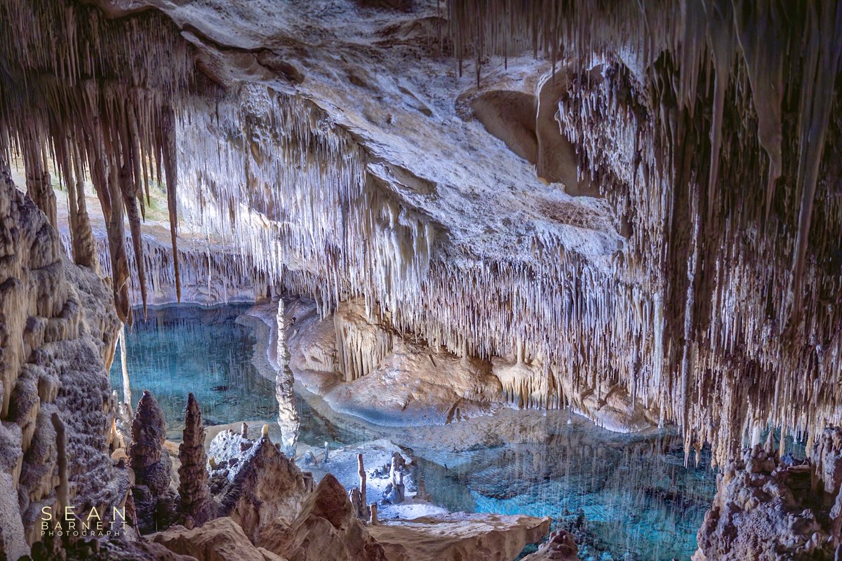 SeanBarnettPhot's tweet image. The magical Cuevas del Drach (Drach Caves) of Porto Cristo, Mallorca with thousands of stalactites/stalgmites and part of the underground lake. 
#nature 
#TwitterNatureCommunity
#NaturePhotography
#NatureLover 
#Mallorca 
#CuevasDelDrach 
#PortoCristo
#España