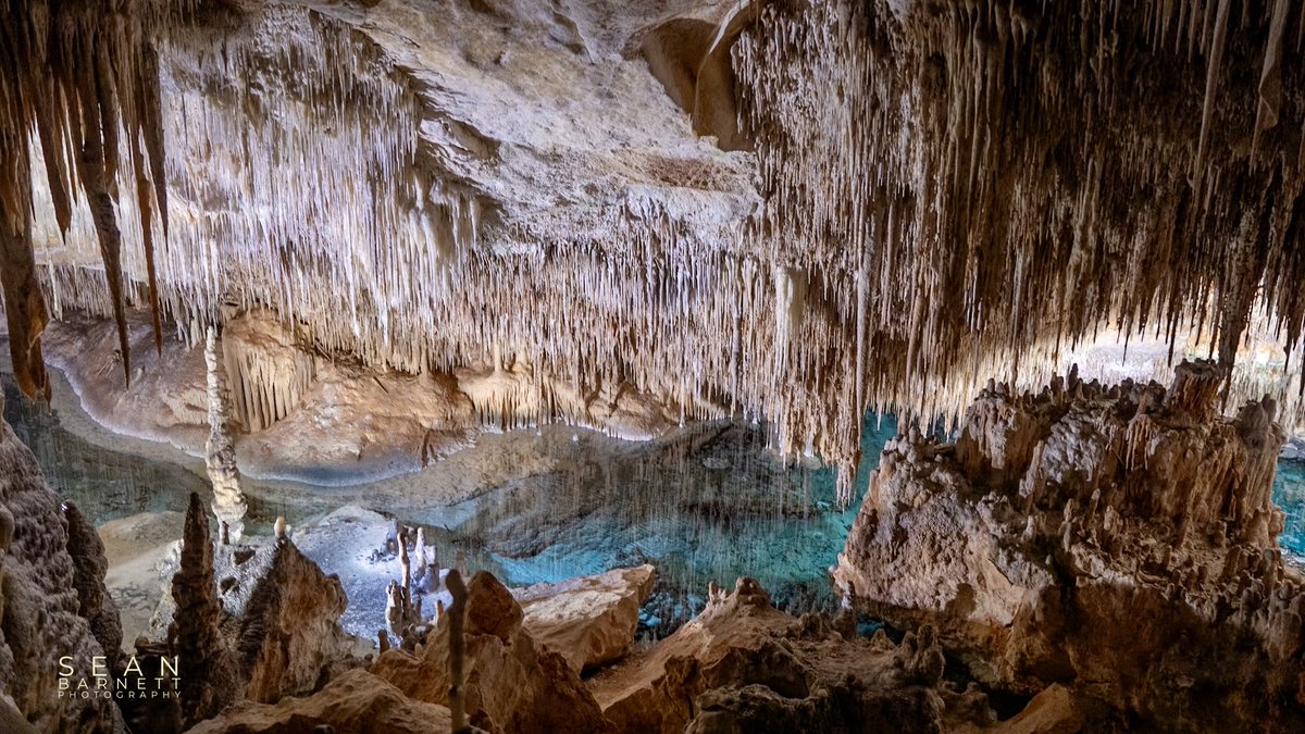 SeanBarnettPhot's tweet image. The magical Cuevas del Drach (Drach Caves) of Porto Cristo, Mallorca with thousands of stalactites/stalgmites and part of the underground lake. 
#nature 
#TwitterNatureCommunity
#NaturePhotography
#NatureLover 
#Mallorca 
#CuevasDelDrach 
#PortoCristo
#España