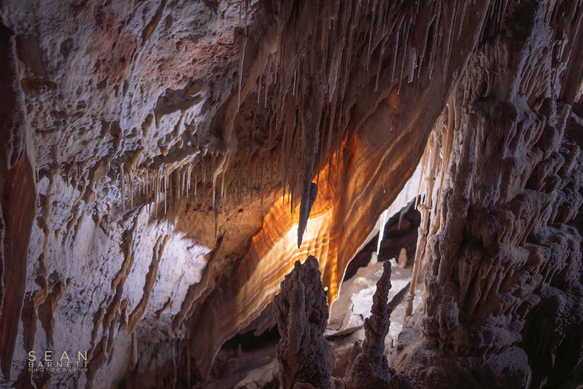 SeanBarnettPhot's tweet image. The magical Cuevas del Drach (Drach Caves) of Porto Cristo, Mallorca with thousands of stalactites/stalgmites and part of the underground lake. 
#nature 
#TwitterNatureCommunity
#NaturePhotography
#NatureLover 
#Mallorca 
#CuevasDelDrach 
#PortoCristo
#España