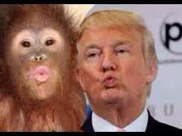 Ricktus Whitehead. tweet media