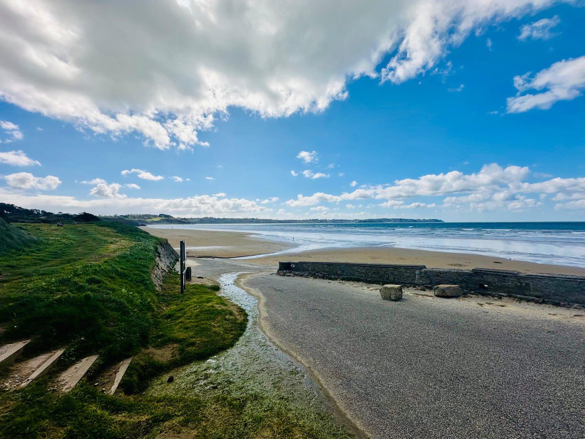 Shirley Salisbury tweet media