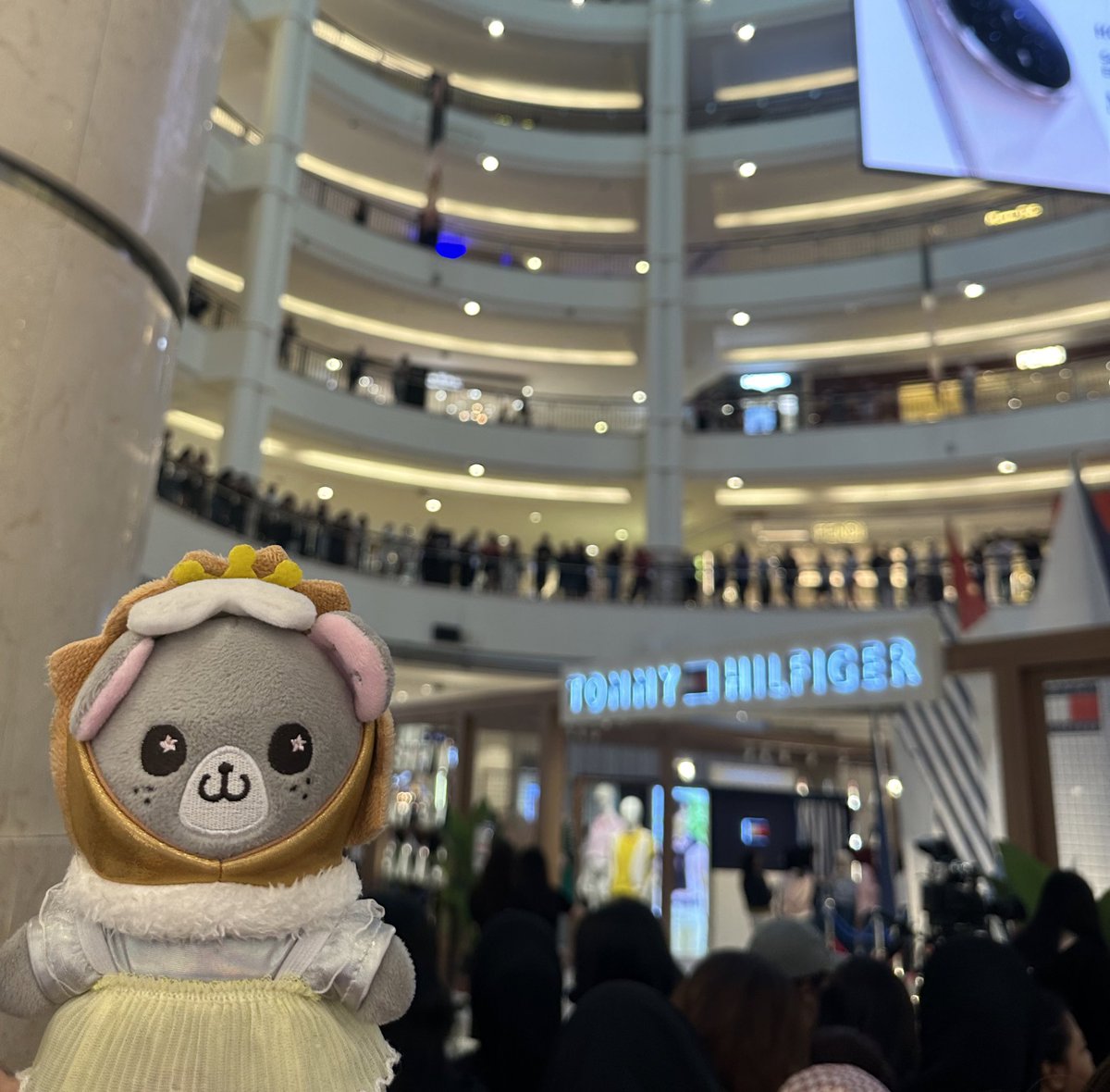 shashou 🎆ᵏʰⁿ TTH era🗣️ tweet media