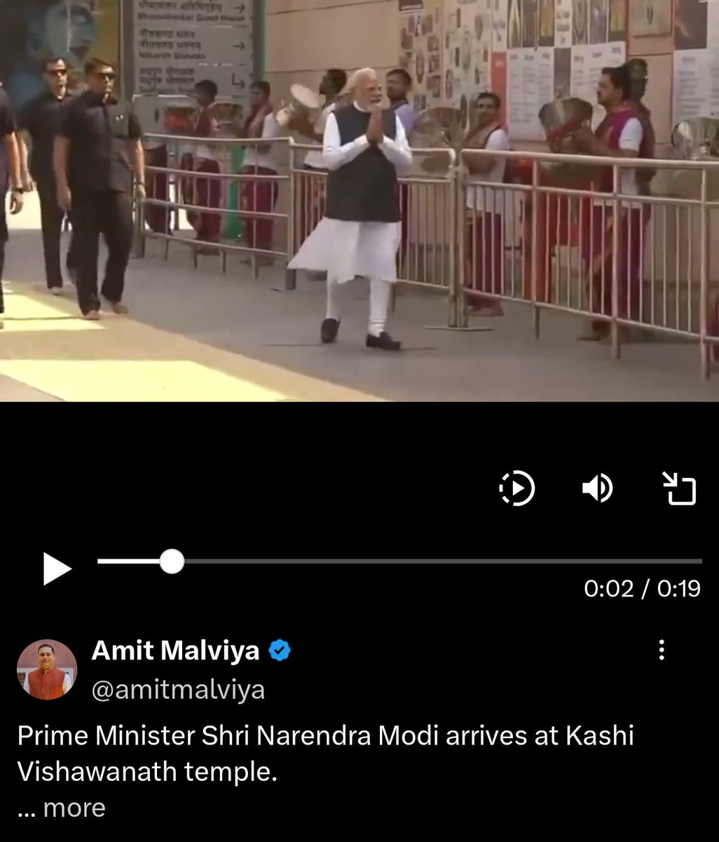 🐱 wittycatty (lion ka pariwar) tweet media