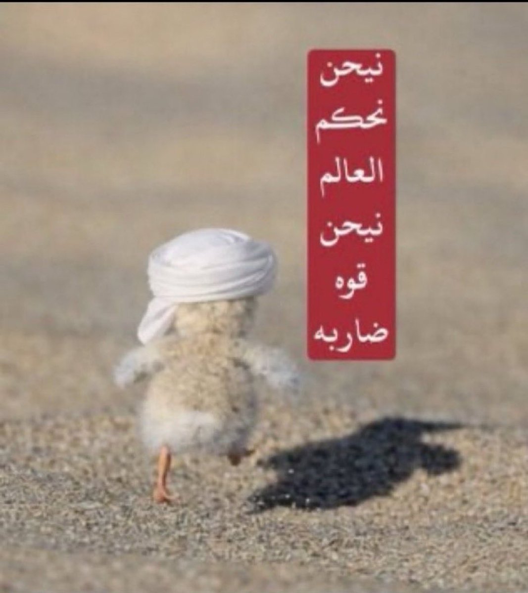 Faisal Al-shehri tweet media