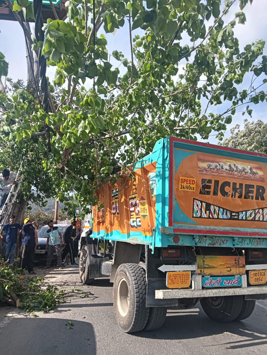 almorapolice's tweet image. 🚒 फायर स्टेशन अल्मोड़ा की तत्परता से टला बड़ा हादसा

लोअर मॉल रोड पर बिजली तारों पर लटका विशाल पेड़ फायर टीम ने त्वरित कार्रवाई कर काटकर हटाया।

समय रहते मार्ग को सुरक्षित कर जनहानि होने से बचाया गया। 👨‍🚒
#FireService #UttarakhandPolice @uttarakhandcops
