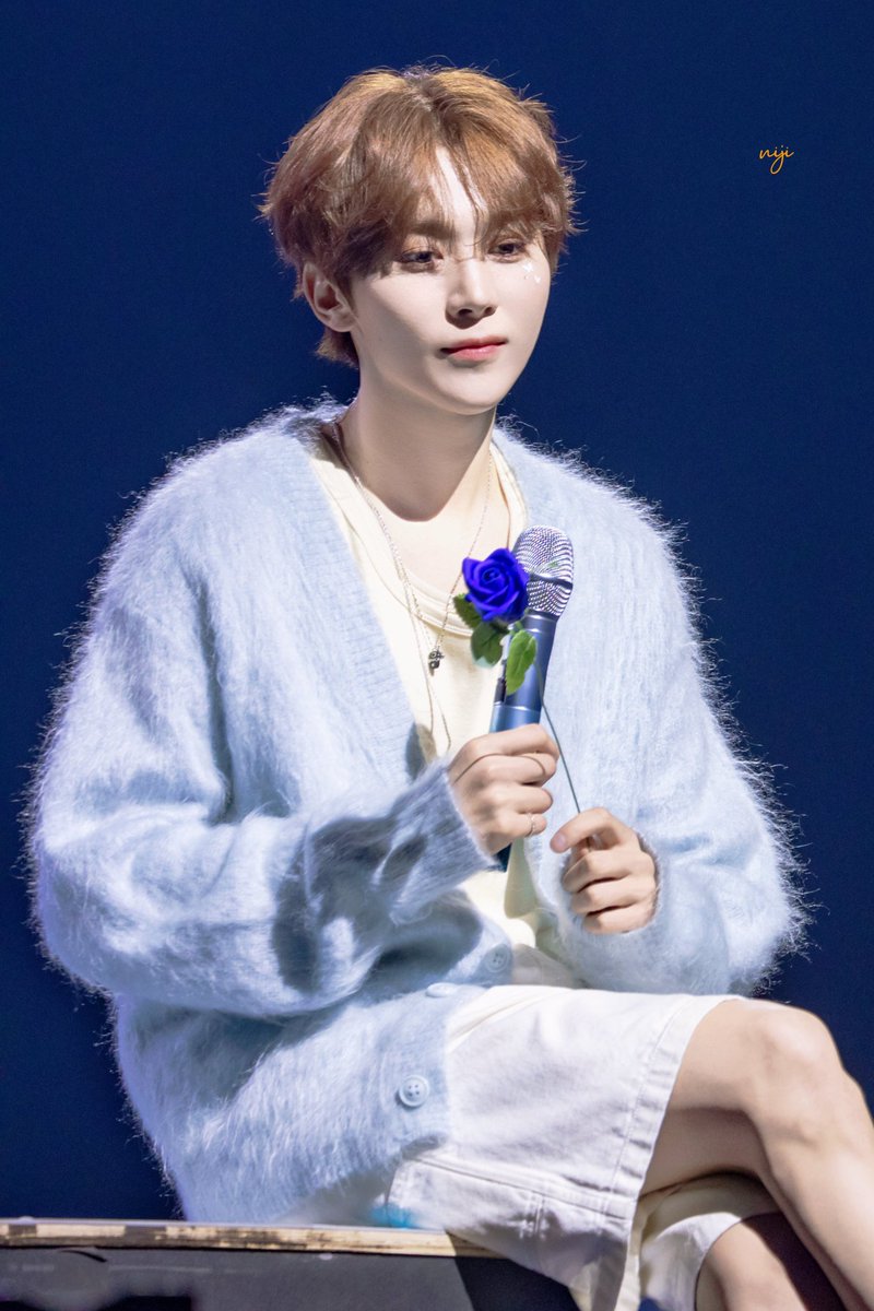 늘보 tweet media