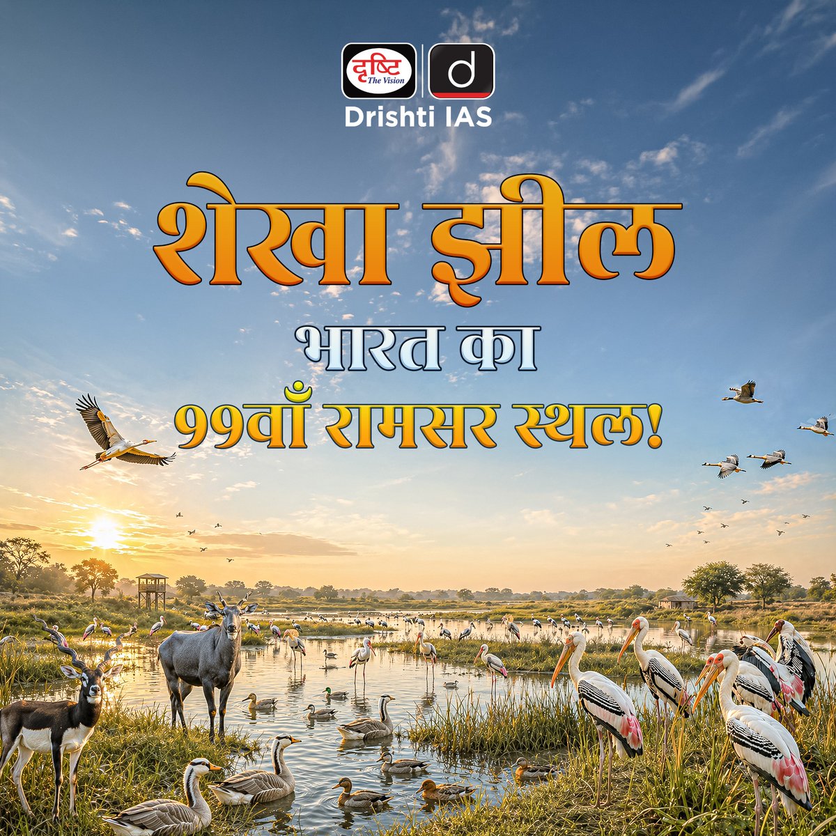 drishtiias's tweet photo. उत्तर प्रदेश की शेखा झील को अंतर्राष्ट्रीय महत्त्व का वेटलैंड घोषित किया गया, जहाँ 166+ जलपक्षी प्रजातियाँ और समृद्ध जैव विविधता इसे खास बनाती है।
.
#RamsarSite #ShekhaJheel #Wetlands #Biodiversity #Environment #UPSC #CurrentAffairs #Prelims2026 #Ecology #IndiaEnvironment #RamsarConvention #DrishtiIAS