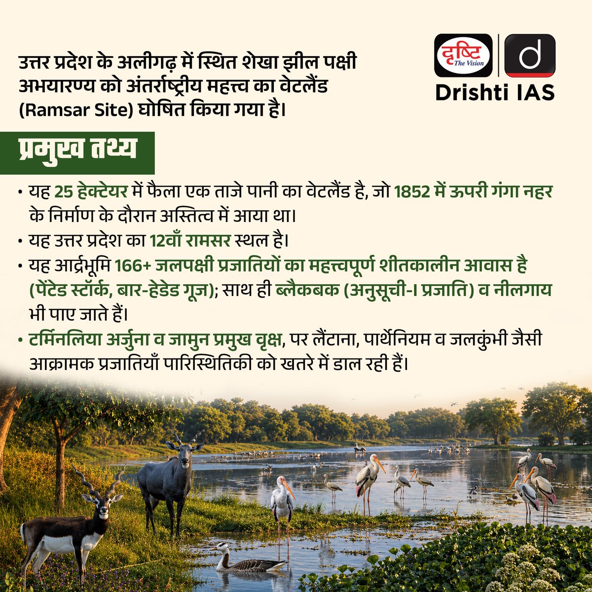 drishtiias's tweet photo. उत्तर प्रदेश की शेखा झील को अंतर्राष्ट्रीय महत्त्व का वेटलैंड घोषित किया गया, जहाँ 166+ जलपक्षी प्रजातियाँ और समृद्ध जैव विविधता इसे खास बनाती है।
.
#RamsarSite #ShekhaJheel #Wetlands #Biodiversity #Environment #UPSC #CurrentAffairs #Prelims2026 #Ecology #IndiaEnvironment #RamsarConvention #DrishtiIAS