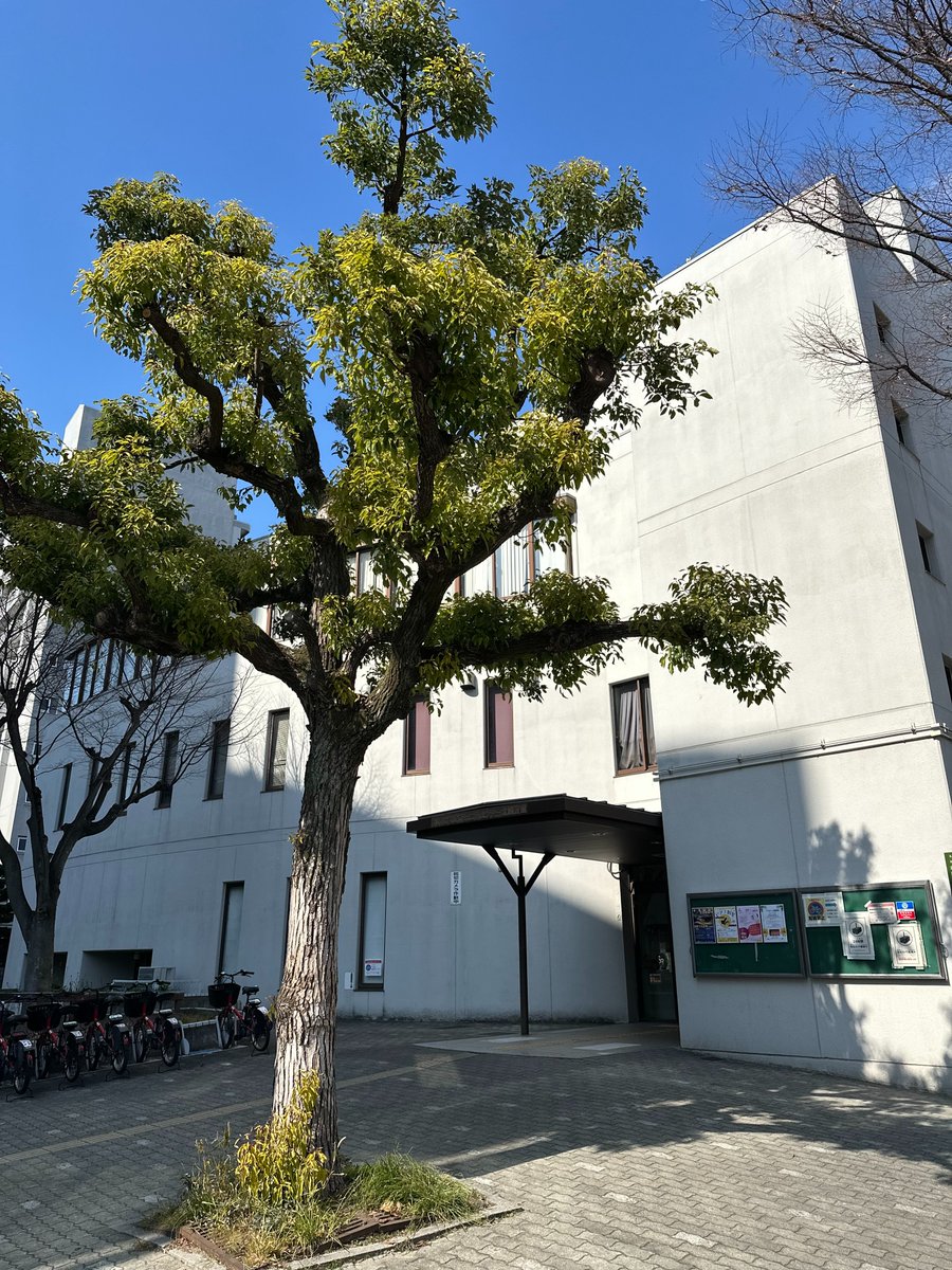 こんにちは。 大淀コミュニティセンターです。  いよいよ始まりましたね、ゴールデンウイーク。  大淀コミュニティセンターはゴールデンウイーク中も9時30分～21時30分まで開館しておりますよ！ ・ ・ ・ #大淀コミュニティセンター #コミュニティセンター #大阪市北区 #GW #ゴールデンウイーク
