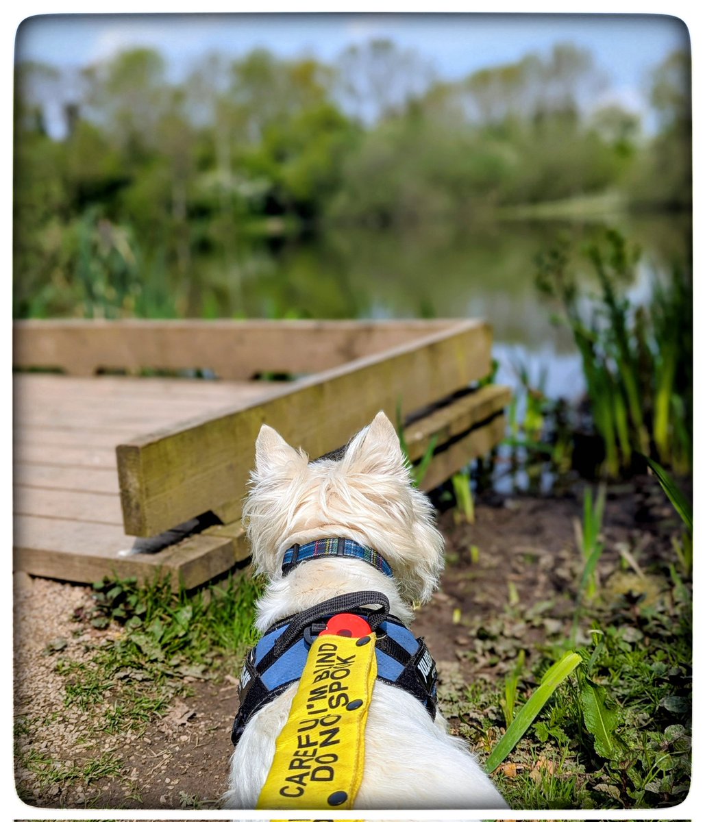 suzanne masters tweet media