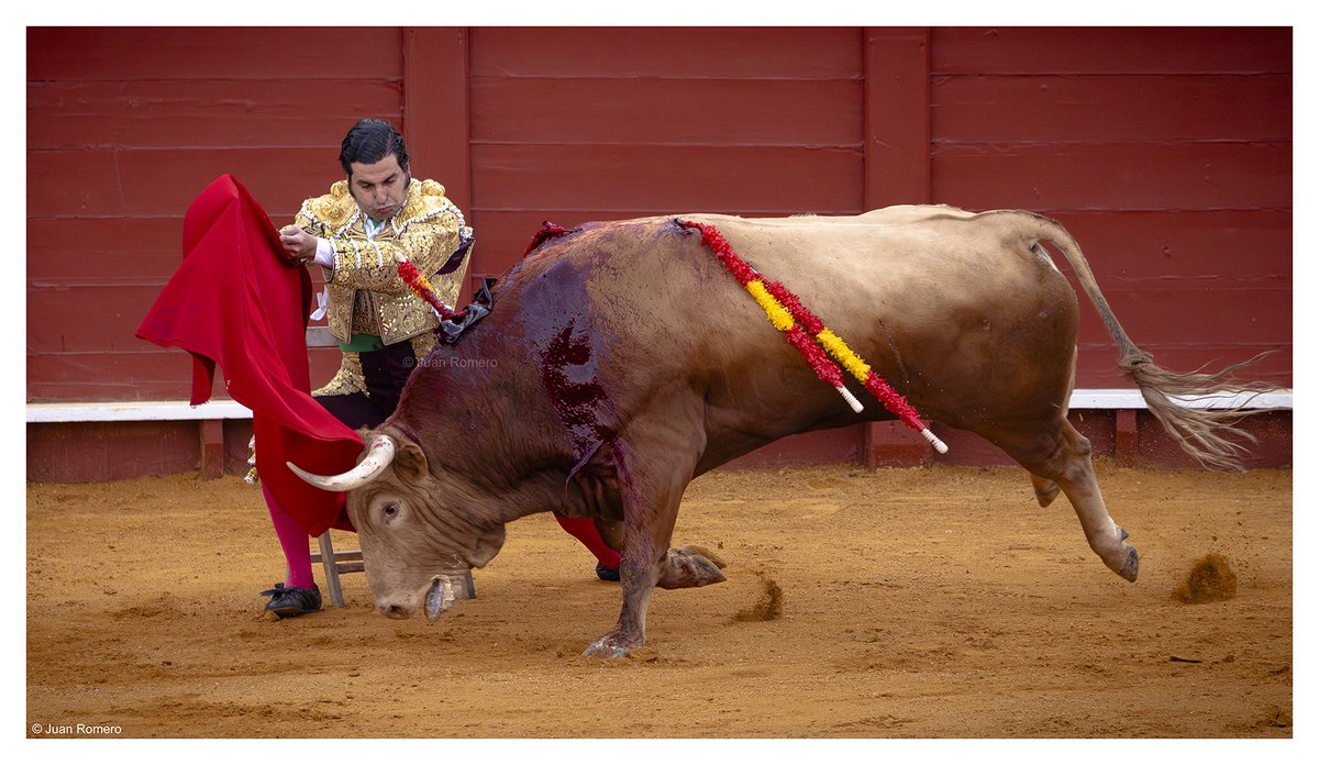 Juan Romero Prieto tweet media